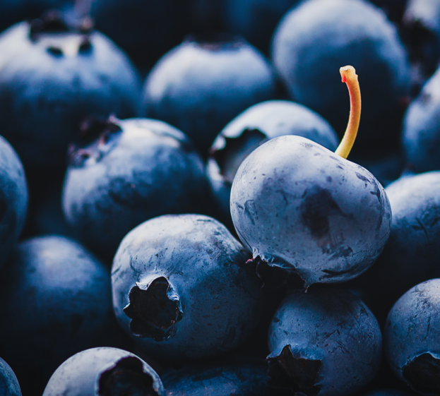 Blue Berries