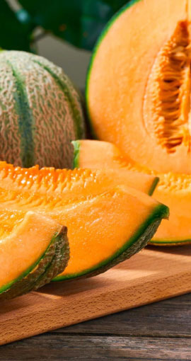 rock-melons